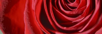 Rose texture background, twitter header | Free Photo - rawpixel