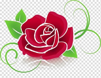 , rose transparent background PNG clipart