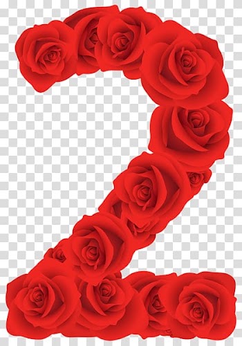 , rose transparent background PNG clipart