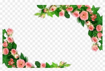 Rose U5409u7965u5bfau5e97 Pink Photography Royalty-free - Png Roses Border