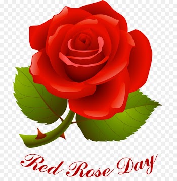 Rose Valentine's Day Red Clip art - national day scatters flowers 