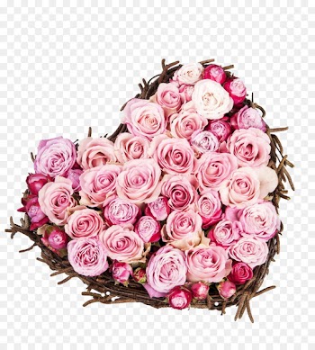 Rose Valentines Day Love Flower Heart - Heart-shaped bouquet of pink roses HD clips 