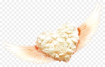 Rose Valentines Day Petal White Day - Hearts with white rose petals with wings 