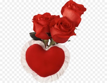 Rose Valentines Day Wish Wallpaper - Love pillow rose material free to pull 