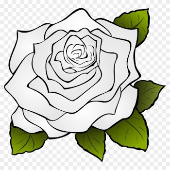 Rose Vector Art 8, Buy Clip Art - Transparent Background Rose Outline