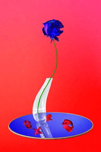 Rose vector sticker, pastel blue rose in vase… | Free stock illustration | High Resolution graphic