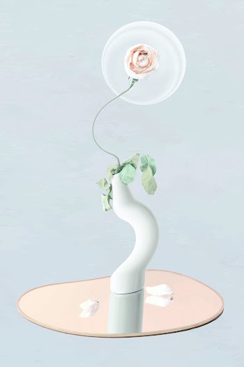 Rose vector sticker, pastel pink rose in vase… | Free stock illustration | High Resolution graphic
