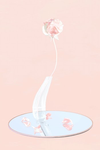 Rose vector sticker, pastel pink rose in vase… | Free stock illustration | High Resolution graphic