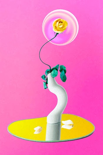 Rose vector sticker, pink rose in vase… | Free stock illustration | High Resolution graphic