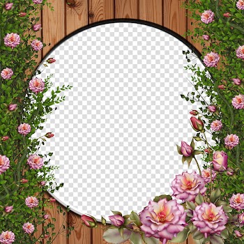 Rose vine, pink rose flowers transparent background PNG clipart