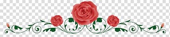 Rose Vine Thorns, spines, and prickles , rose border transparent background PNG clipart