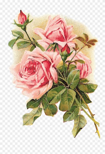 Rose Vintage Clothing Flower Pink Shabby Chic - Vintage Roses