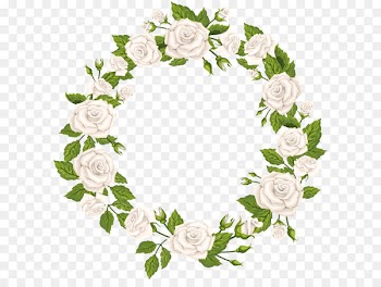 Rose White Clip art - Roses Border White PNG Clip Art 