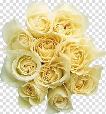 Rose White Flower bouquet, White roses transparent background PNG clipart