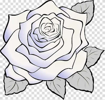 Rose White , Rose transparent background PNG clipart