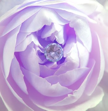 rose with diamond.jpg