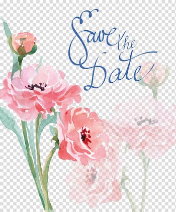 Rose with save the date text overlay, Watercolor painting Wedding invitation Drawing, Watercolor pink flower transparent background PNG clipart