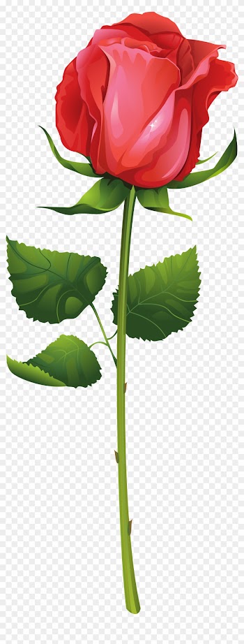 Rose With Stem Png Clip Art Imageu200b Gallery Yopriceville - Rose With Stem
