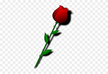 Rose With Thorns - Valentines Day Roses Clipart