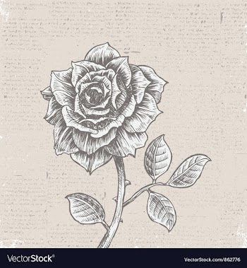Rose with vintage background vector image