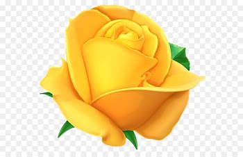 Rose Yellow Clip art - Transparent Yellow Rose PNG Clipart Picture 