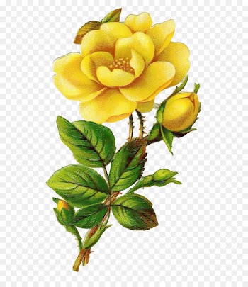 Rose Yellow Flower Clip art - Creative Valentine's Day 