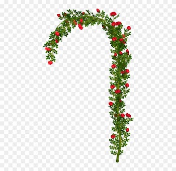 Rosebush Arch Element Png Clipart Picture - Rose Bush Png