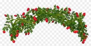Rosebush Element Png Clipart Picture - Rose Bush Clip Art