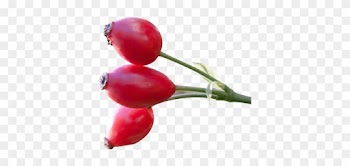 Rosehip - Rose Hip Seed Png