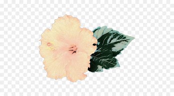 Rosemallows, Cut Flowers, Petal, Hawaiian Hibiscus, Flower PNG