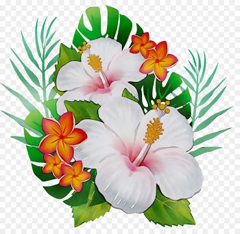 Rosemallows Floral design Cut flowers Annual plant Herbaceous plant -  