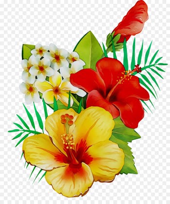 Rosemallows Floral design Cut flowers Flower bouquet -  