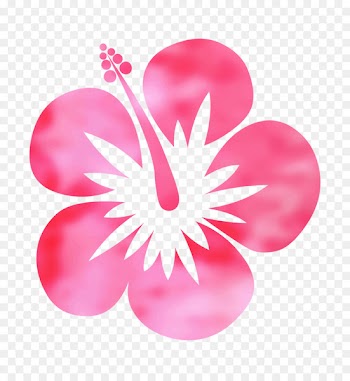 Rosemallows Petal Flowering plant Close Up GmbH -  
