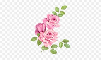 Rosenbilder, Kunstmalerei Blumen, Rosen Kunst, Pinke - Animated Alphabet S