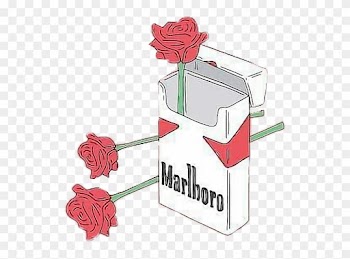 Roses Aesthetic Cigarette Cigarettes Smoking Flowers - Rose And Cigarettes