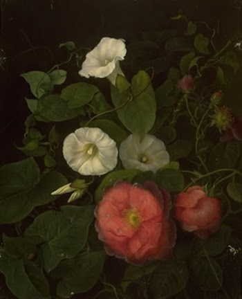 Roses and epomenea | Free Photo - rawpixel