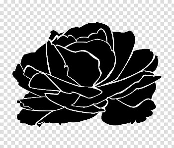Roses, black rose in bloom illustration transparent background PNG clipart