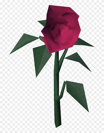 Roses Built - Runescape Rose