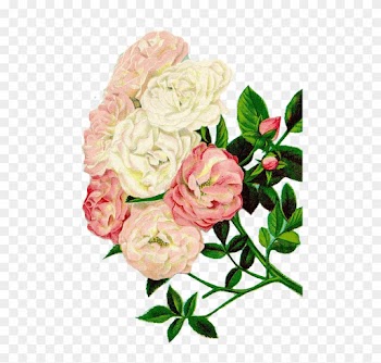 Roses Clipart Floral Clipart Flowers - Clipart Bunga