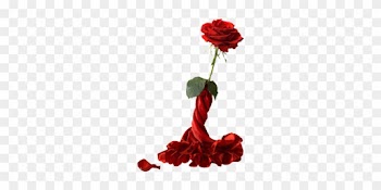 Roses For Jonghyun Transparent Background