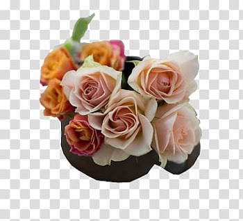 Roses in a bouquet in assorted colors transparent background PNG clipart
