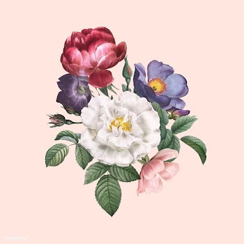 Roses in bloom | Free stock illustration - 582857