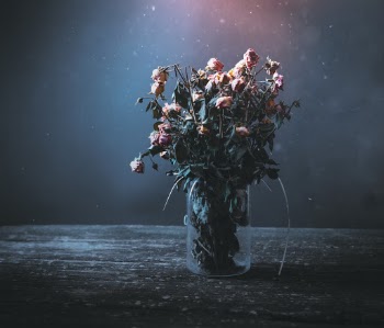 Roses in Flower Vase