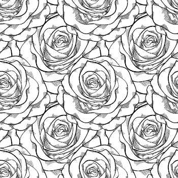 roses linear pattern linear art