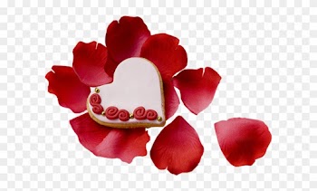 Roses Petals - Garden Roses