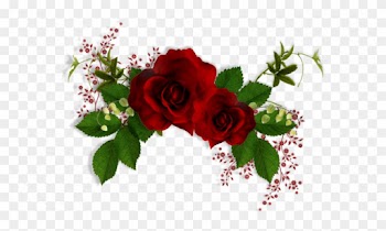 Roses,pink,roze,rosa, Beautiful Flowers Pinterest Clip - Rose