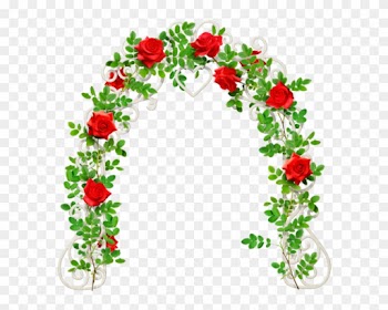 Roses,pink,roze,rosa, - Garden Roses