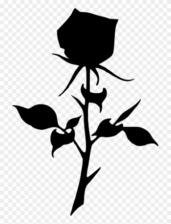 Roses Silhouette - Rose