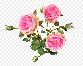 Roses, Silk, Pink, Bouquet - Hybrid Tea Rose