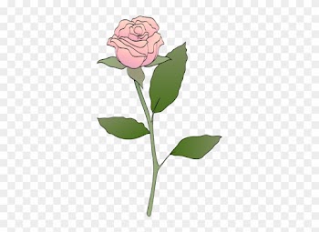 Roses The Pics Images Clip Art Pink Rose - Pink Rose Clip Art